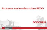 DGCCDRH Procesos nacionales sobre REDD. 1. FASE DE PREPARACION – RESULTADOS ESPERADOS 2. INSTITUCIONALIDAD PLANTEADA 3. FINANCIAMIENTO PARA REDD+ - FCPF.