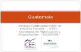 Instituto Centroamericano de Estudios Fiscales - ICEFI – Secretaría de Planificación y Programación - SEGEPLAN - Guatemala.