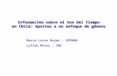 Información sobre el Uso del Tiempo en Chile: Aportes a un enfoque de género María Luisa Rojas - SERNAM Lylian Mires - INE.