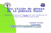Una visión de género de la pobreza rural Reunión de Coordinación Interagencial sobre Estadísticas de Género (Santiago de Chile, 7 al 10 de octubre de 2002)