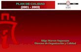 PLAN DE CALIDAD (2001 - 2003) PLAN DE CALIDAD (2001 - 2003) I±igo Marcos Sagarzazu Director de Organizaci³n y Calidad