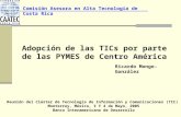 Comisión Asesora en Alta Tecnología de Costa Rica Ricardo Monge-González Adopción de las TICs por parte de las PYMES de Centro América Reunión del Clúster.