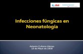 Infecciones fúngicas en Neonatología Antonio Cuñarro Alonso 19 de Mayo de 2009.
