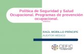 Política de Seguridad y Salud Ocupacional. Programas de prevención ocupacional. 19/06/2012 RAÚL MORILLO PRÍNCIPE AUDITOR MÉDICO.