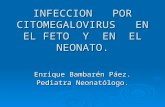 INFECCION POR CITOMEGALOVIRUS EN EL FETO Y EN EL NEONATO. Enrique Bambarén Páez. Pediatra Neonatólogo.