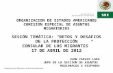 ORGANIZACION DE ESTADOS AMERICANOS COMISION ESPECIAL DE ASUNTOS MIGRATORIOS SESIÓN TEMÁTICA: RETOS Y DESAFIOS DE LA PROTECCIÓN CONSULAR DE LOS MIGRANTES.