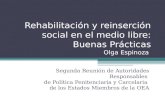 Rehabilitación y reinserción social en el medio libre: Buenas Prácticas Olga Espinoza Segunda Reunión de Autoridades Responsables de Política Penitenciaria.