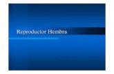C8 Reproductor Hembra1