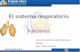 El sistema respiratorio Funciones Área de Conocimiento de la Naturaleza Biología Mtra. Andrea Etchartea.
