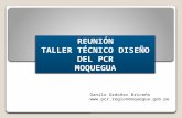 REUNIÓN TALLER TÉCNICO DISEÑO DEL PCR MOQUEGUAREUNIÓN MOQUEGUA Danilo Ordoñez Briceño .