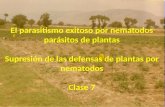 Martes, Agosto 28 08:00-09:00 – Clase 7 – Parasitismo de Plantas 1. Teoria Biología y ciclo de vida de los nematodos se alimentan de plantas: asociados.
