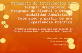 Propuesta de Intervención de Terapia Ocupacional en Programa de Alcohol y Drogas modalidad Ambulatorio Intensivo a partir de una Experiencia Práctica (Trabajo.