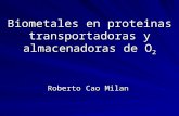 Biometales en proteinas transportadoras y almacenadoras de O 2 Roberto Cao Milan.