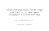 Decisiones bajo escenarios de riesgo Aplicación en un contexto de adaptación al Cambio Climático MSc. María Angélica Naranjo 1 Curso SA-507 – Lección 10.