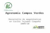 Agronomía Campos Verdes Desarrollo de megatérmicas en Carlos Tejedor Campaña 2009/10.