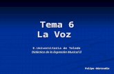 Tema 6 La Voz E.Universitaria de Toledo Didáctica de la Expresión Musical II Felipe Gértrudix.