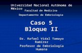 Caso 5 Bloque II Dr. Rafael Vidal Tamayo Ramírez Profesor de Embriología Humana Universidad Nacional Autónoma de México Facultad de Medicina Departamento.