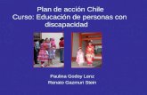 Plan de acción Chile Curso: Educación de personas con discapacidad Paulina Godoy Lenz Renato Gazmuri Stein.