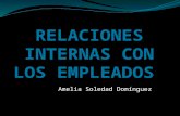 Amelia Soledad Domínguez. QUE SON LAS RELACIONES INTERNAS CON LOS EMPLEADOS Actividades de la administración de recursos humanos relacionadas con el movimiento.