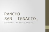 RANCHO SAN IGNACIO. GANADERÍA DE RESES BRAVAS..