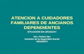 ATENCION A CUIDADORES FAMILIARES DE ANCIANOS DEPENDIENTES SITUACION EN URUGUAY Dra. Felicia Hor Instituto de la Seguridad Social URUGUAY.