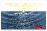 MARIA DEL PILAR GARCIA UNIVERSIDAD EXTERNADO DE COLOMBIA PROTECCION JURÍDICA DE LOS RECURSOS HÍDRICOS EN COLOMBIA.