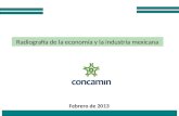 1 Radiografía de la economía y la industria mexicana Febrero de 2013.