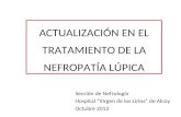 ACTUALIZACIÓN EN EL TRATAMIENTO DE LA NEFROPATÍA LÚPICA Sección de Nefrología Hospital Virgen de los Lirios de Alcoy Octubre 2013.