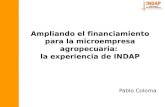Ampliando el financiamiento para la microempresa agropecuaria: la experiencia de INDAP Pablo Coloma.