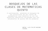 BOSQUEJOS DE LAS CLASES DE MATEMATICAS QUINTO A continuación presento el bosquejo de las estructuras de las clases de matemáticas cuyo objetivo es ver.