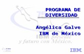 PROGRAMA DE DIVERSIDAD Angélica Galve IBM de México.