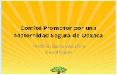 Comité Promotor por una Maternidad Segura de Oaxaca Matthias Sachse Aguilera Coordinador.