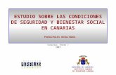 ESTUDIO SOBRE LAS CONDICIONES DE SEGURIDAD Y BIENESTAR SOCIAL EN CANARIAS PRINCIPALES RESULTADOS Canarias, Enero / 2003 GOBIERNO DE CANARIAS INSTITUTO.