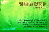 IDENTIFICACIÓN DE OPORTUNIDADES DE NEGOCIO LUIS RODRIGO VIANA RUIZ DIPLOMADO EN PLAN DE NEGOCIOS UNIDAD DE EMPRENDIMIENTO UNIVERSIDAD DE MEDELLÍN 2010.