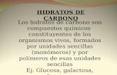 HIDRATOS DE CARBONO Los hidratos de carbono son compuestos químicos constituyentes de los organismos vivos, formados por unidades sencillas (monómeros)