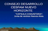 CONSEJO DESARROLLO CESFAM NUEVO HORIZONTE CAPSULA COMUNITARIA: Junta de vecinos Nuevos Aires. FCR/JOF/AMC.