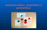 Aminoácidos, péptidos y proteínas. Proteínas Las proteínas se pueden definir como polímeros formados por la unión, mediante enlaces peptídicos, de unidades.
