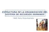 ESTRUCTURA DE LA ORGANIZACIÓN DEL SISTEMA DE RECURSOS HUMANOS MAG. Percy Guija Espinoza.