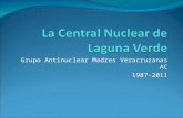 Grupo Antinuclear Madres Veracruzanas AC 1987-2011.