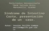Policlínico Universitario René Vallejo Ortiz Manzanillo, Granma Síndrome de Intestino Corto, presentación de un caso. Autor: Yennier Peillón Gamboa peillon@golfo.grm.sld.cu.