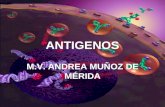 ANTIGENOS M.V. ANDREA MUŇOZ DE MÉRIDA. QUE ES UN ANTIGENO???