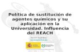 Política de sustitución de agentes químicos y su aplicación en la Universidad. Influencia del REACH Xavier Guardino xavierg@mtin.es.