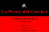 La Praxis del Cracker Miguel Torrealba S. (mtorrealba@usb.ve) Universidad Simón Bolívar Venezuela LACNIC X - Marzo 2007 - Margarita.
