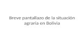 Breve pantallazo de la situación agraria en Bolivia.
