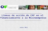 Líneas de acción de CAF en el financiamiento a la Microempresa Julio 2012.
