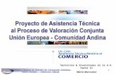 Asistencia Técnica al Proceso de Valoración Conjunta Unión Europea - Comunidad Andina Marconini1 Servicios & Inversiones en la U.E. Parte II Mário Marconini.