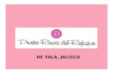 DE TALA, JALISCO. TEL. 01(384)738-3655 E-MAIL: elpuntorosa@yahoo.com.mx.