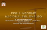 PERU: INFORME NACIONAL DEL EMPLEO Sr. Walter Gago Rodríguez Viceministro de Promoción del Empleo y de la Micro y Pequeña Empresa Cochabamba, noviembre.