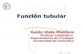 Función tubular Guido Ulate Montero Profesor Catedrático Departamento de Fisiología Universidad de Costa Rica.
