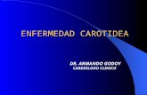 ENFERMEDAD CAROTIDEA DR. ARMANDO GODOY CARDIOLOGO CLINICO.